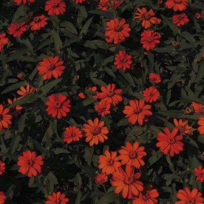 快3平台官网网站